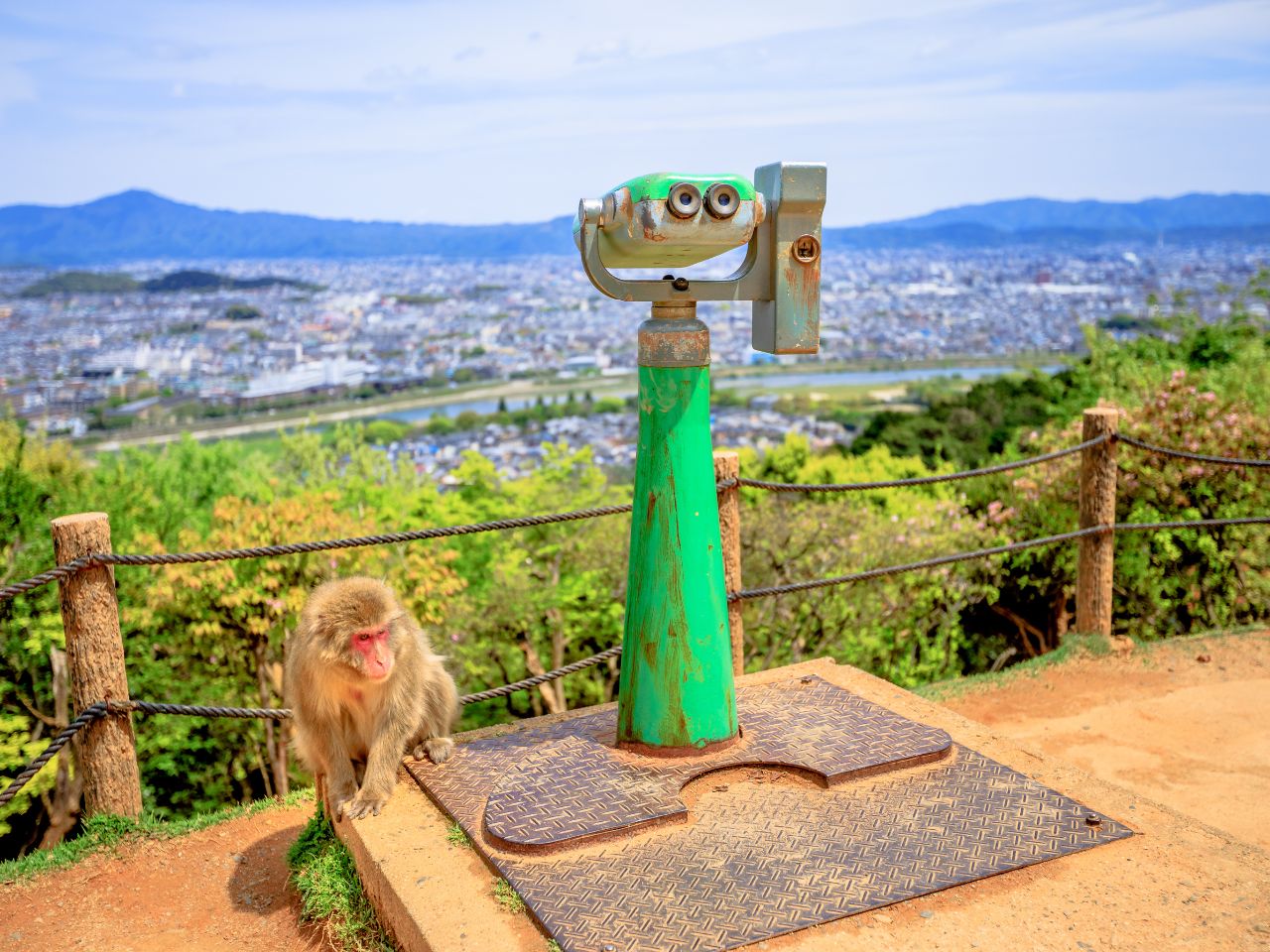 Iwatayama