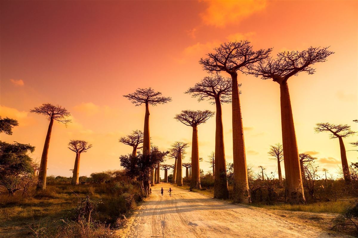 Pielgrzymka na Madagaskar śladami misji oblackich