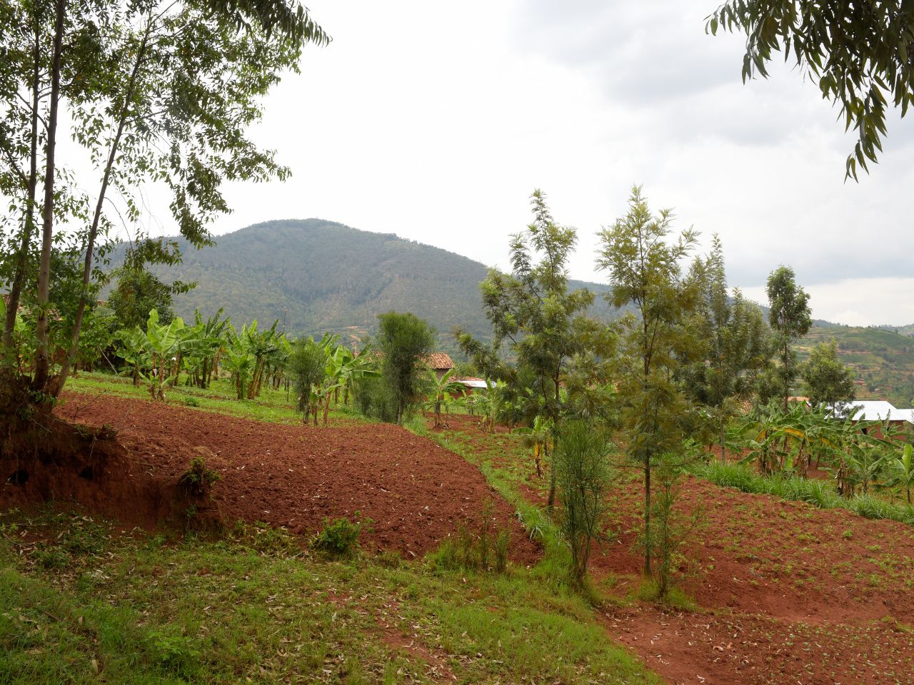 Huye (Butare)
